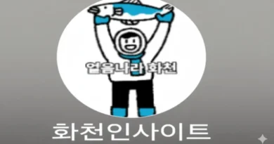화천인사이트 앱