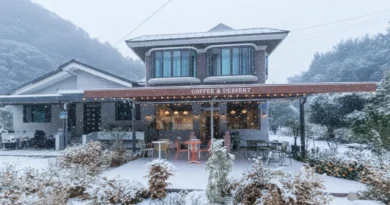 소상공인 홍보 전략 예시, 하이 대이리 카페