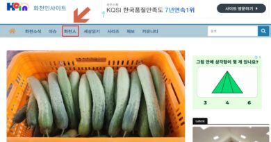 화천인사이트 '화천人' 메뉴