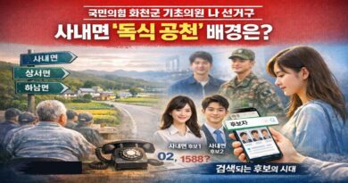 화천군의원 나 선거구 관련 이미지